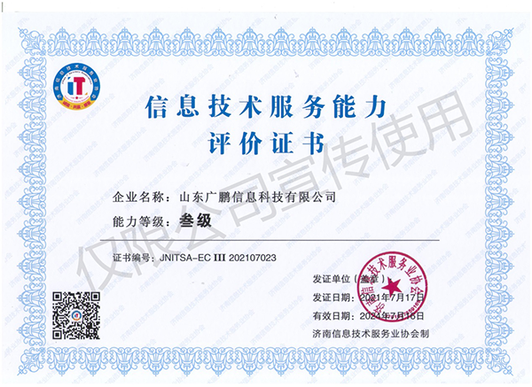 信息技術服務能力叁級